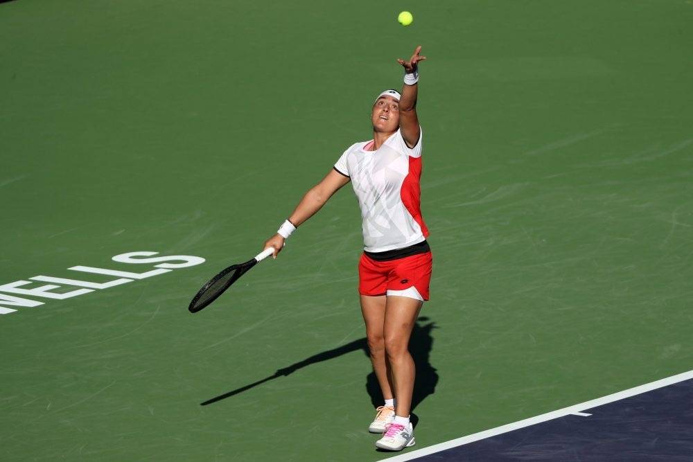 正如其他成 正如其他成