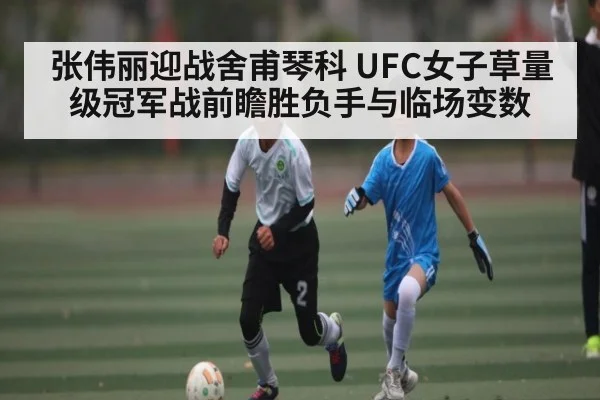张伟丽迎战舍甫琴科 UFC女子草量级冠军战前瞻胜负手与临场变数